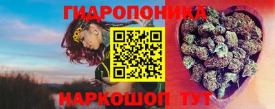 прущие грибы Пыть-Ях