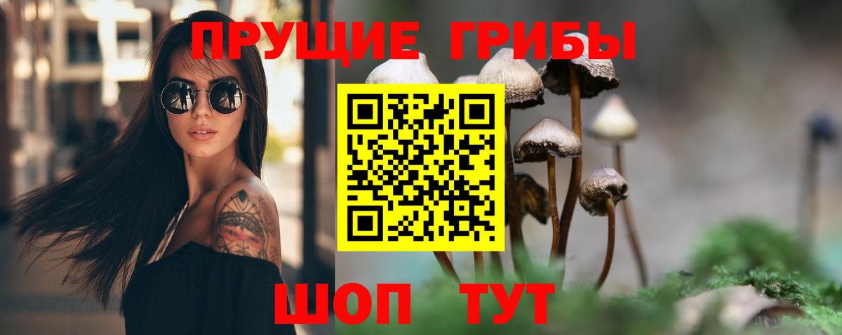 дарнет шоп  Вход с VPN  Родники  Галлюциногенные грибы ЛСД 